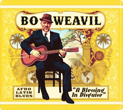 Bo Weavil A Blessing In Disguise web