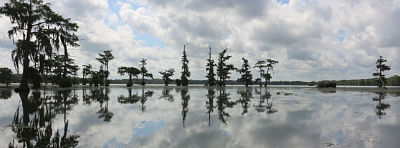 Up The Mississippi bayou